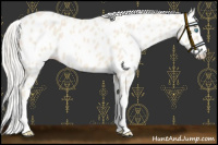 Horse Color:Cremello Leopard 