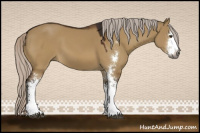 Horse Color:Gray Silver Buckskin Dun Sabino