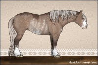 Horse Color:Silver Brown Dun Sabino Rabicano 
