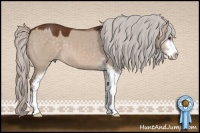Horse Color:Silver Brown Dun Sabino 