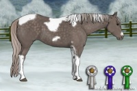 Horse Color:Silver Black Tobiano Frame 