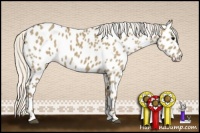 Horse Color:Silver Smoky Grullo Near Leopard 