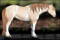 Horse Color:White Spotted Smoky Black Pearl 
