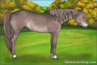 Horse Color:Gray Platinum Liver Chestnut 
