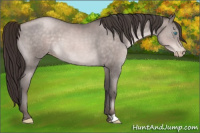 Horse Color:Gray Platinum Buckskin Pearl 