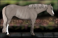 Horse Color:Silver Grullo Rabicano 