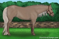 Horse Color:Silver Grullo Rabicano 