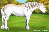 Horse Color:Silver Classic Champagne Dun Splash Frame