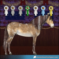 Horse Color:White Spotted Chocolate Buckskin Dun and White Spotted Chocolate Buckskin Dun