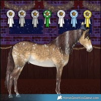 Horse Color:White Spotted Chocolate Buckskin Dun  and White Spotted Chocolate Buckskin Dun 