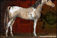 Horse Color:Chocolate Palomino and Liver Red Dun Tobiano
