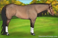 Horse Color:Bay Dun  and Bay Dun 