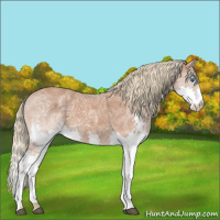 Horse Color:Chestnut Ice Splash 