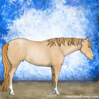 Horse Color:Red Roan Pearl Rabicano