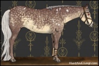 Horse Color:White Spotted Chocolate Silver Smoky Black Chinchilla