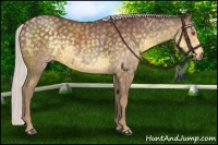 Horse Color:Chocolate Silver Smoky Black Chinchilla Sabino