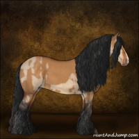 Horse Color:Bay Dun  and Gray Bay Dun 