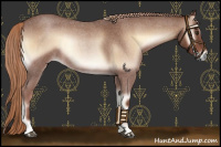 Horse Color:Red Onyx Roan Rabicano 