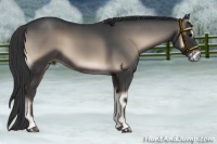 Horse Color:Blue Onyx 