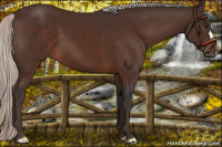 Horse Color:Silver Brown 