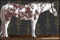Horse Color:Chocolate Black Sabino Varnish 