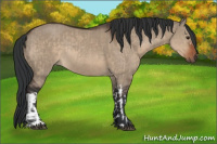 Horse Color:Brown Dun and Brown Dun Rabicano
