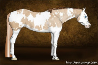 Horse Color:White Spotted Red Dun Splash 