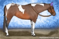 Horse Color:Bay Tobiano Varnish 