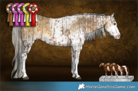 Horse Color:White Spotted Liver Red Dun  and White Spotted Silver Buckskin Dun Sabino