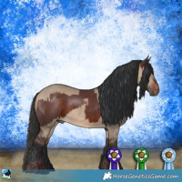Horse Color:Chocolate Brown Rabicano and Bay Dun