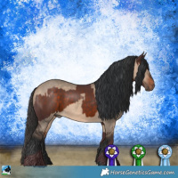 Horse Color:Chocolate Brown Rabicano  and Bay Dun 