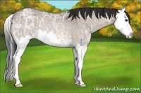 Horse Color:Brown Ice Roan Dun Splash Rabicano 