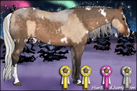 Horse Color:Bay Dun and White Spotted Silver Brown Dun Sabino