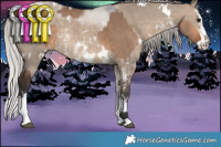 Horse Color:Bay Dun and White Spotted Silver Brown Dun Sabino