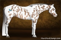 Horse Color:White Spotted Brown Dun Splash Tobiano Near Leopard 
