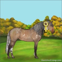 Horse Color:Bay Dun and White Spotted Silver Brown Dun