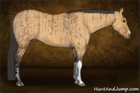 Horse Color:Bay Dun  and Buckskin Dun 
