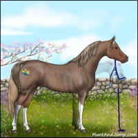 Horse Color:Red Roan Tobiano 