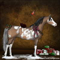 Horse Color:Platinum Brown Dun Leopard  and Brown Dun Splash 