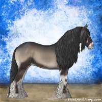 Horse Color:Blue Onyx Sabino