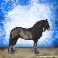 Horse Color:Blue Onyx Ice Sabino