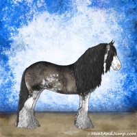 Horse Color:Blue Onyx Ice Sabino