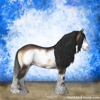 Horse Color:Brown Onyx Sabino Frame Rabicano