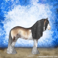 Horse Color:Brown Onyx Sabino
