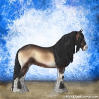 Horse Color:Brown Onyx Sabino 