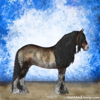 Horse Color:Brown Ice Onyx Sabino Rabicano