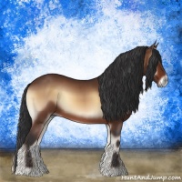 Horse Color:Bay Onyx Sabino 