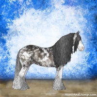Horse Color:Blue Onyx Ice Sabino