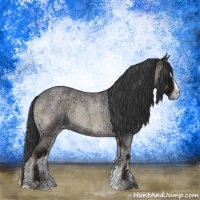 Horse Color:Blue Onyx Ice Roan Sabino 