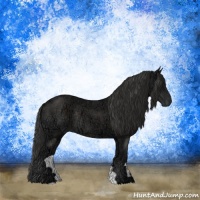 Horse Color:Liver Chestnut Ice Rabicano